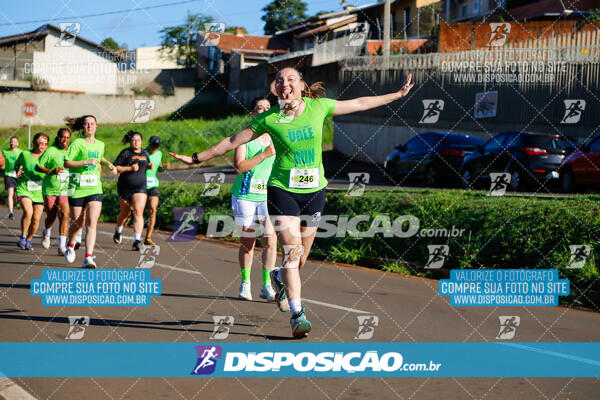 Vale Verde Run 2024