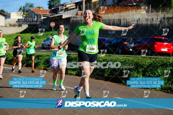 Vale Verde Run 2024