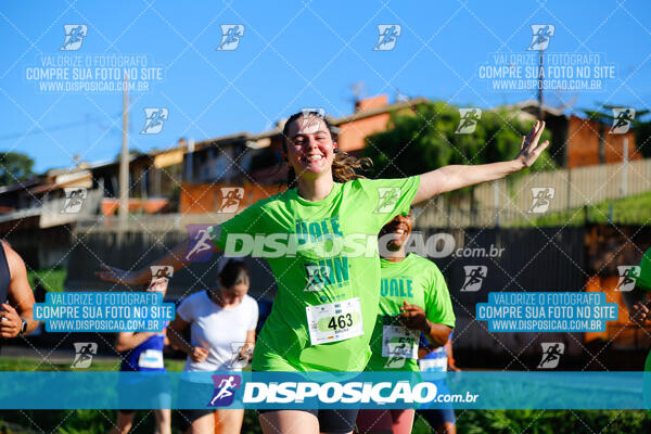 Vale Verde Run 2024