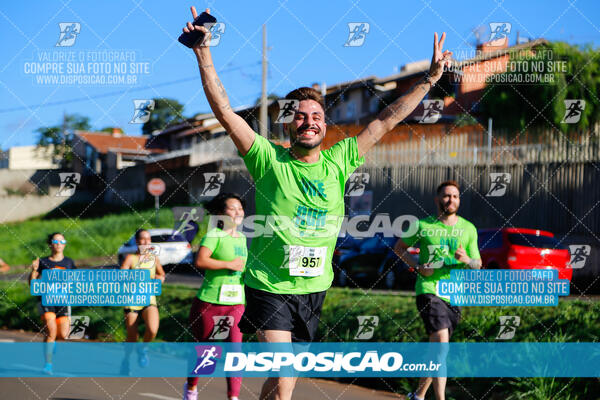 Vale Verde Run 2024