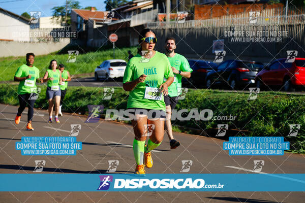 Vale Verde Run 2024