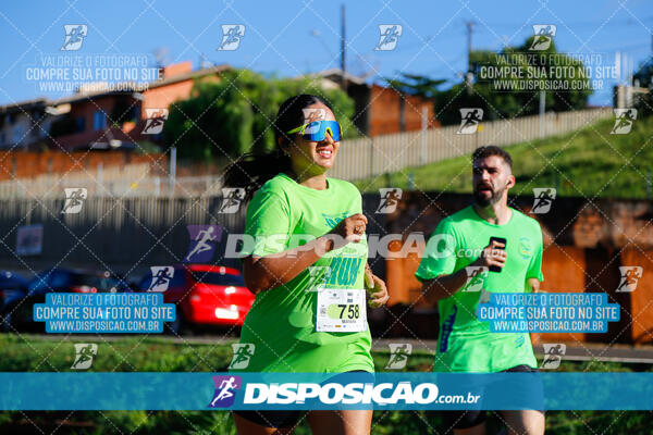 Vale Verde Run 2024