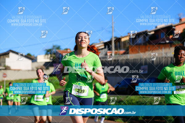 Vale Verde Run 2024