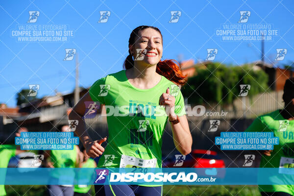 Vale Verde Run 2024