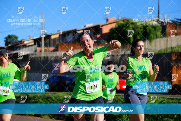 Vale Verde Run 2024