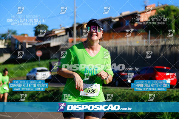 Vale Verde Run 2024