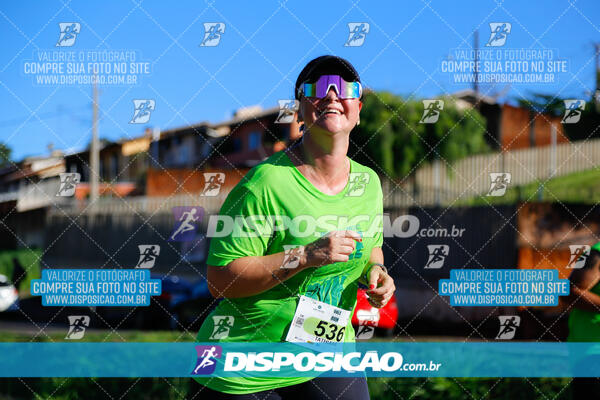 Vale Verde Run 2024