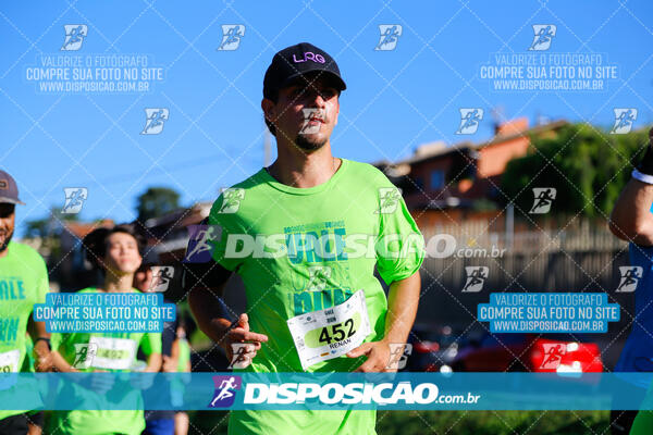 Vale Verde Run 2024