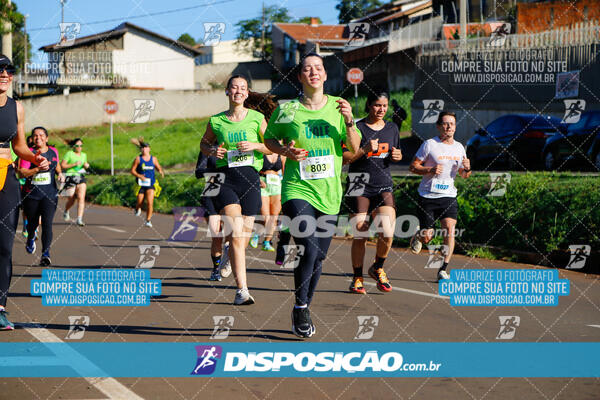 Vale Verde Run 2024