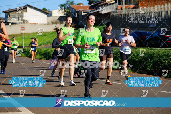 Vale Verde Run 2024