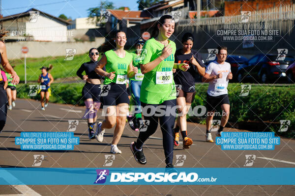 Vale Verde Run 2024