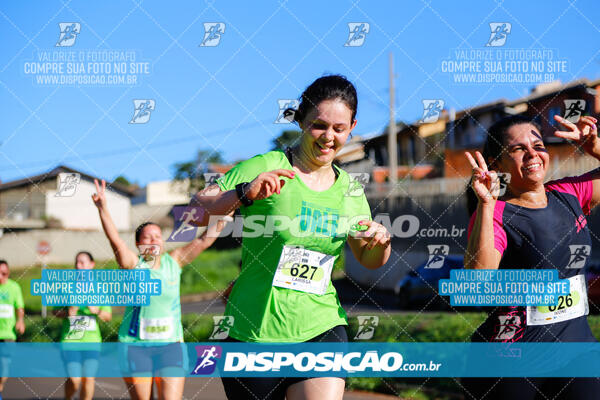 Vale Verde Run 2024