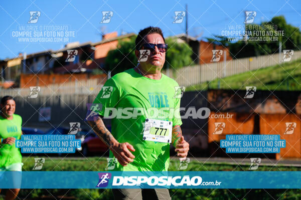 Vale Verde Run 2024