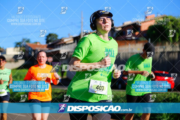 Vale Verde Run 2024