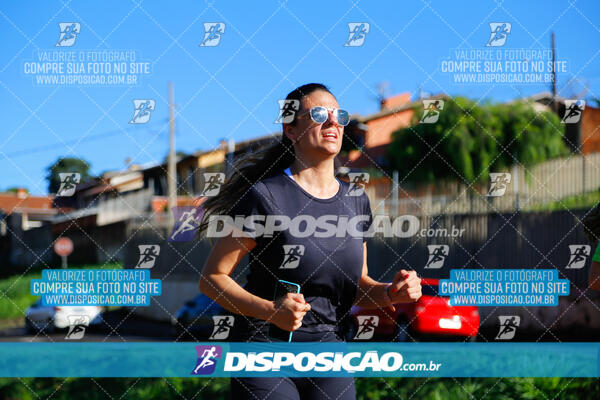 Vale Verde Run 2024