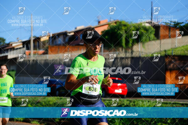 Vale Verde Run 2024