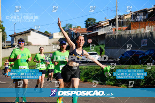 Vale Verde Run 2024