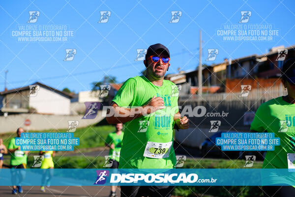 Vale Verde Run 2024