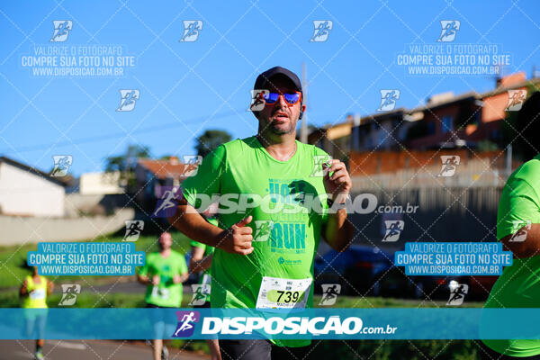 Vale Verde Run 2024