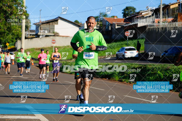 Vale Verde Run 2024