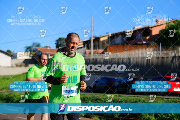 Vale Verde Run 2024