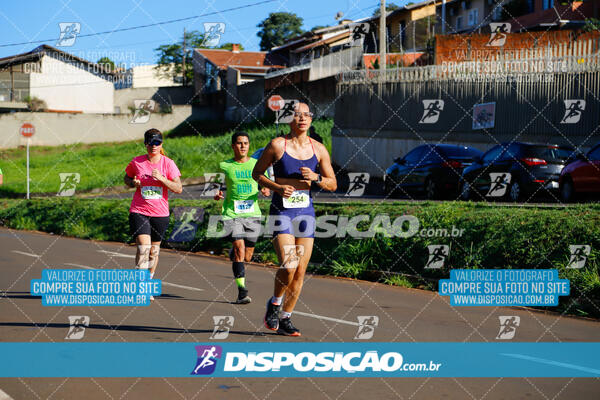 Vale Verde Run 2024