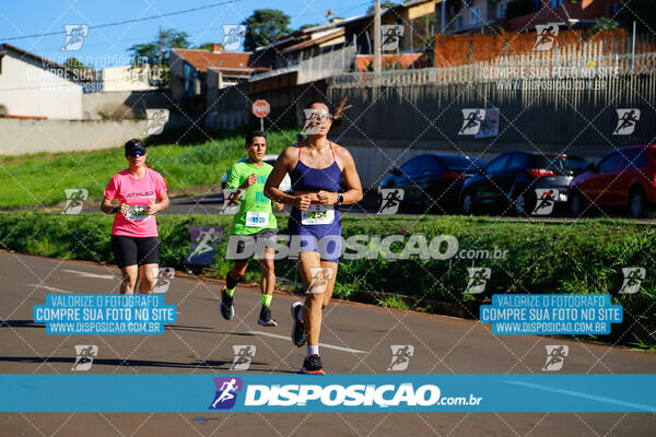 Vale Verde Run 2024