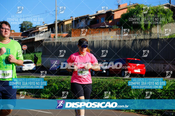 Vale Verde Run 2024