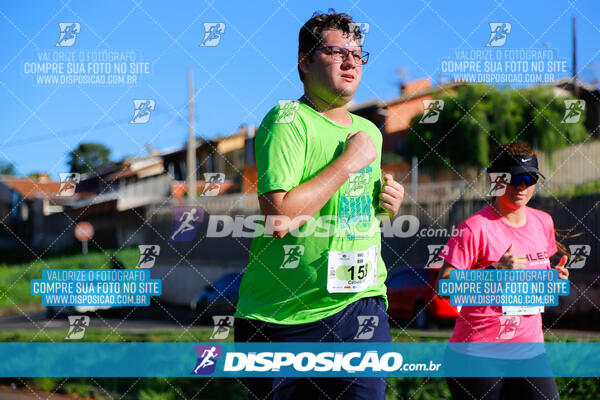 Vale Verde Run 2024