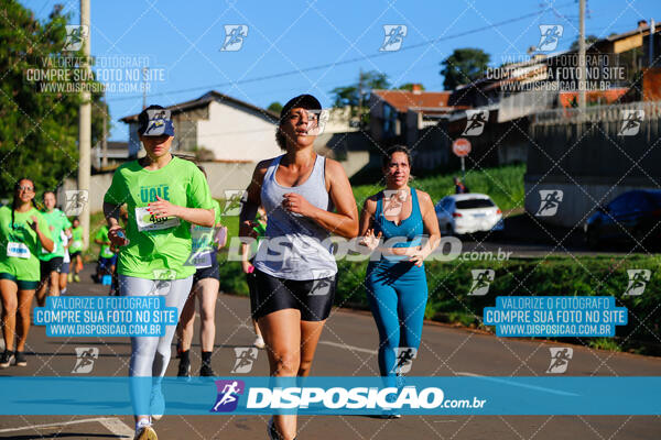 Vale Verde Run 2024