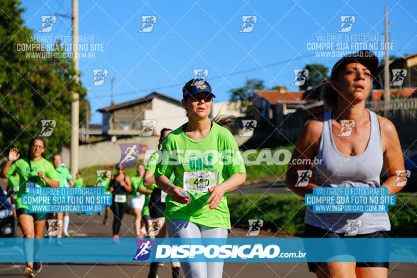 Vale Verde Run 2024