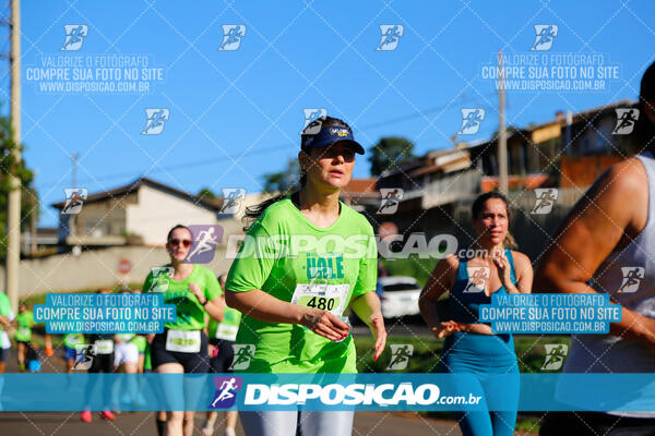 Vale Verde Run 2024