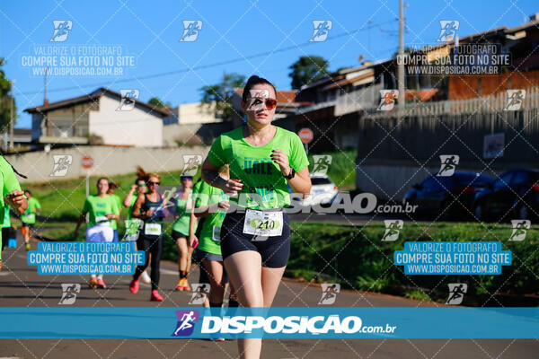 Vale Verde Run 2024