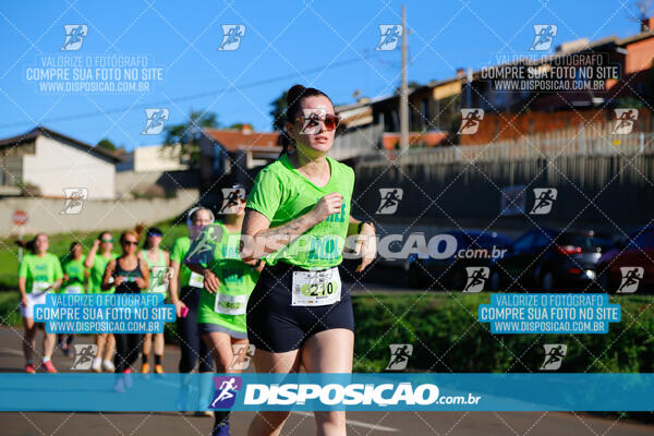 Vale Verde Run 2024