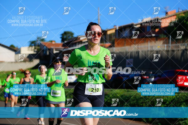 Vale Verde Run 2024