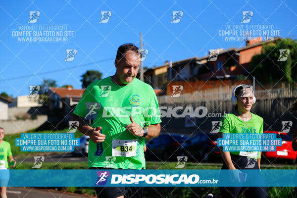 Vale Verde Run 2024