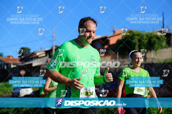 Vale Verde Run 2024