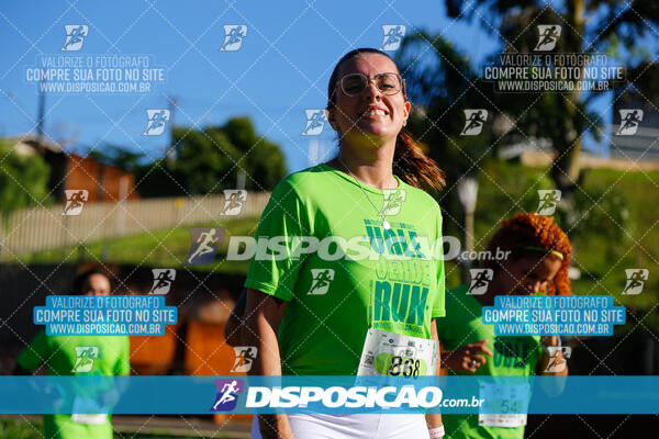 Vale Verde Run 2024