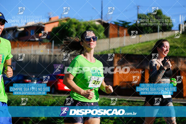 Vale Verde Run 2024