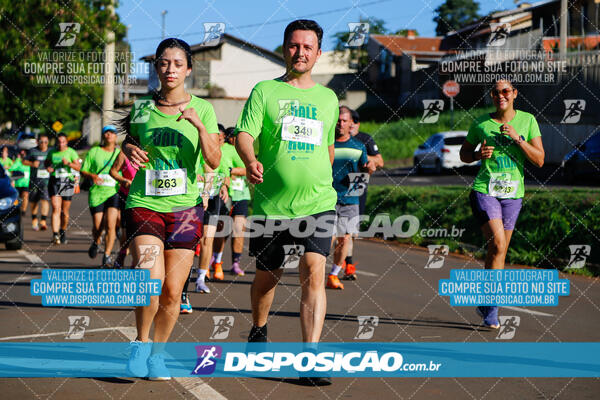 Vale Verde Run 2024