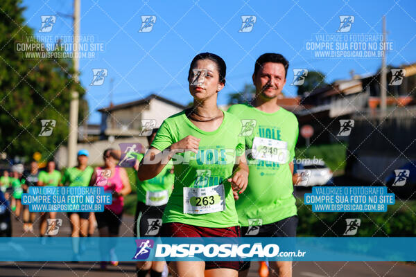 Vale Verde Run 2024