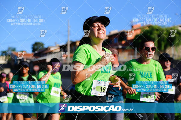 Vale Verde Run 2024