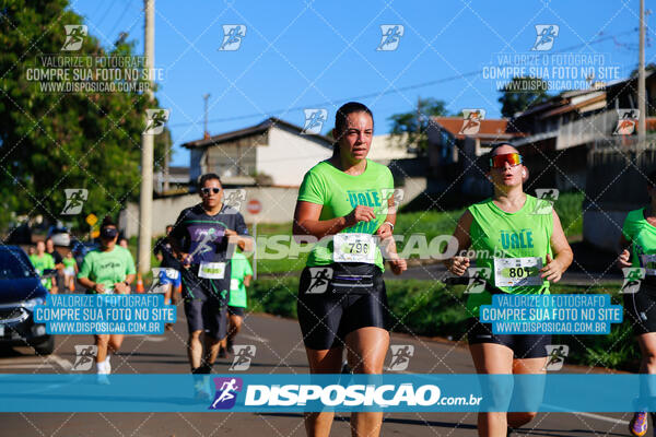 Vale Verde Run 2024