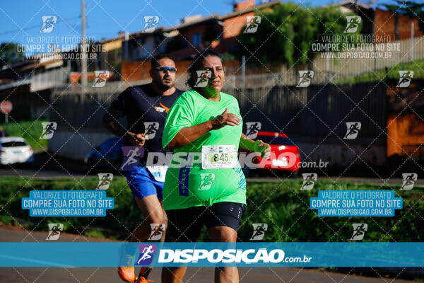 Vale Verde Run 2024