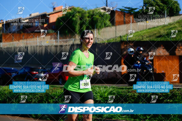 Vale Verde Run 2024