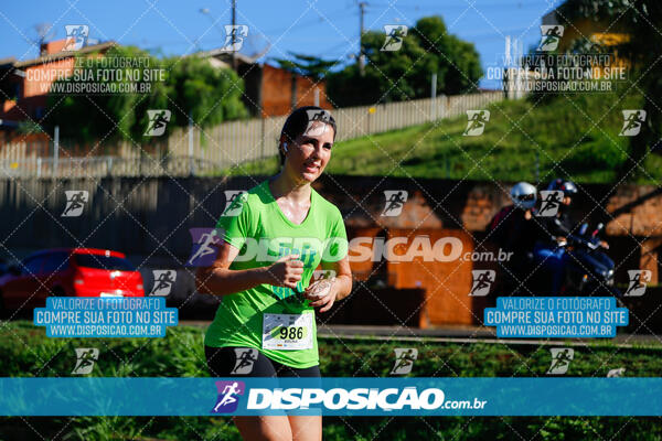 Vale Verde Run 2024