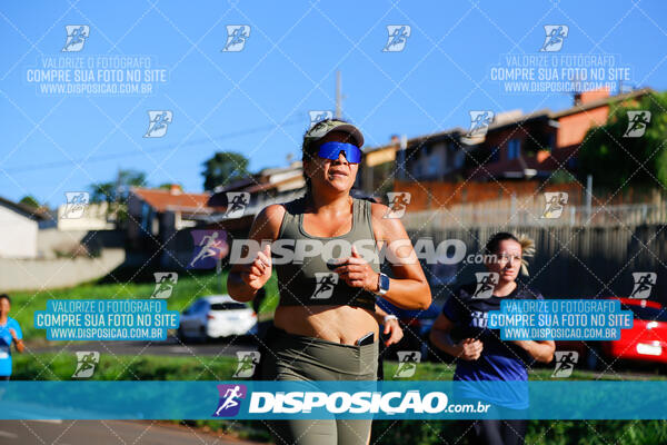 Vale Verde Run 2024