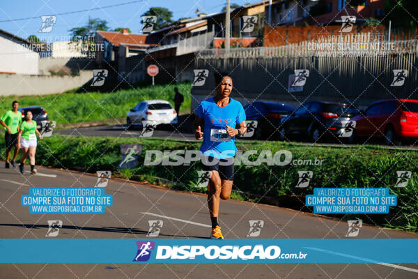 Vale Verde Run 2024