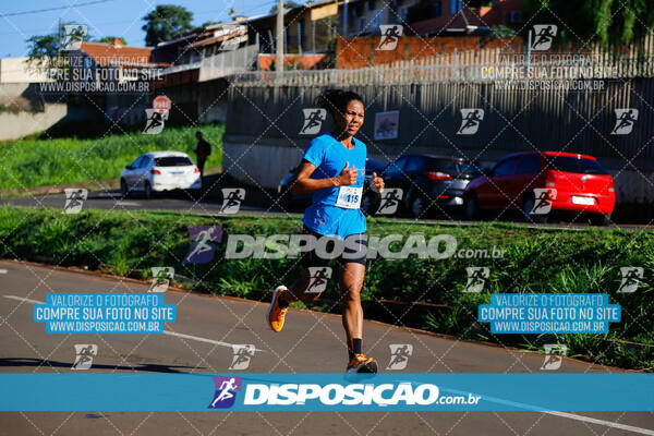 Vale Verde Run 2024