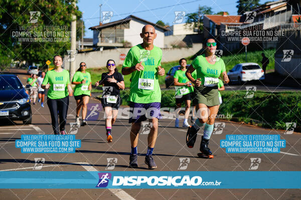 Vale Verde Run 2024